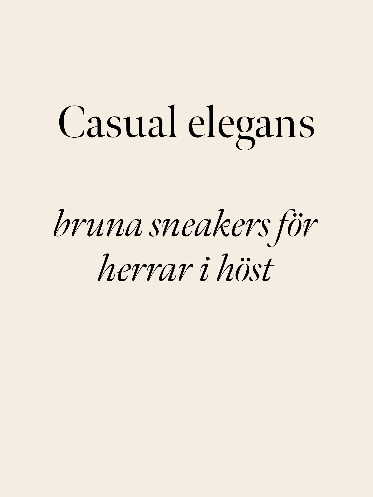 https://instore.scorett.se/pub_docs/files/scorett_hero-ex_herr_aw25_bruna-sneakers.jpg