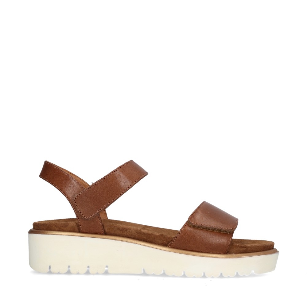 1233518-09 Brown
