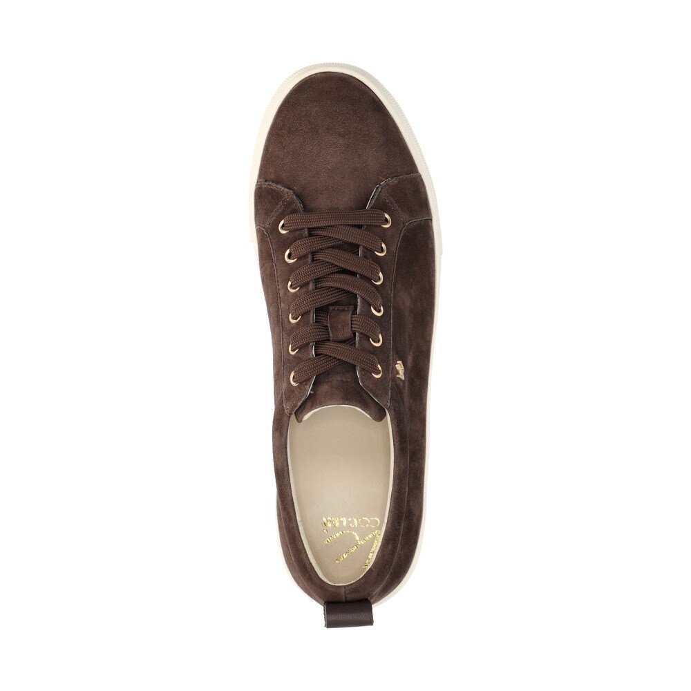 Anaheim Sneakers