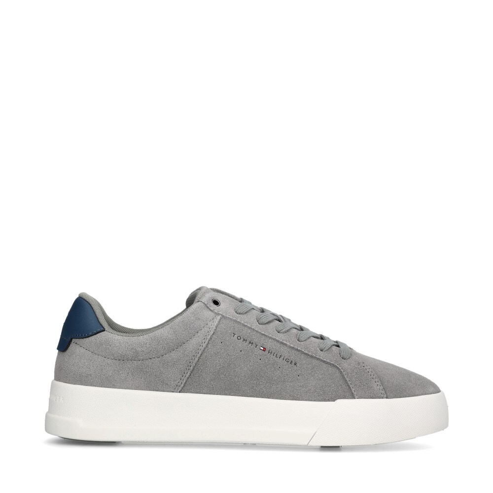 Court Suede Sneakers